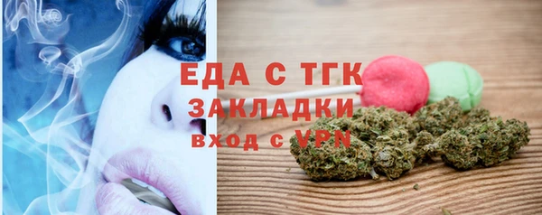 сатива Бородино