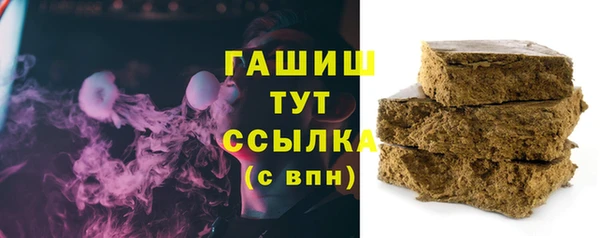 сатива Бородино
