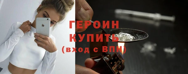 сатива Бородино