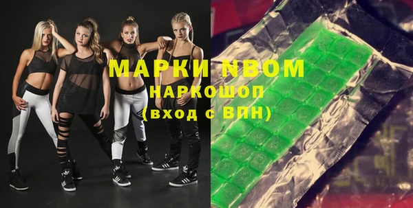 сатива Бородино