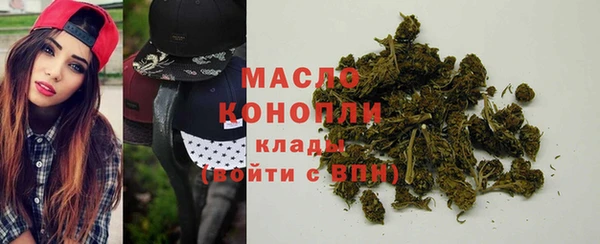 сатива Бородино