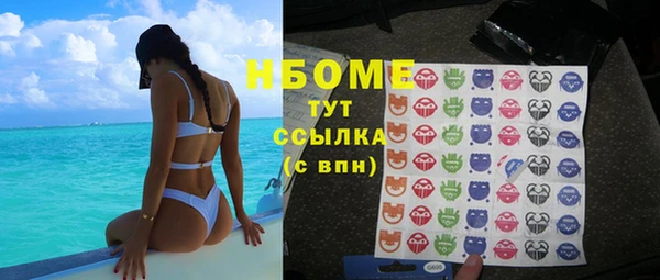 сатива Бородино