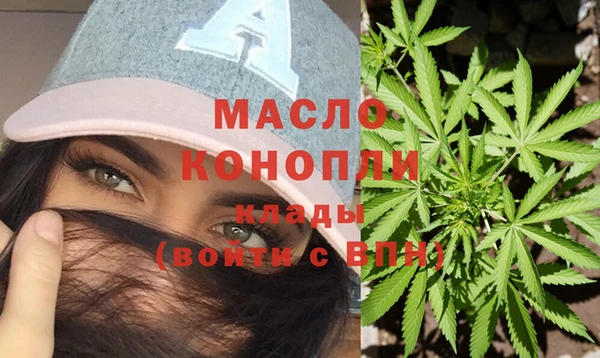сатива Бородино