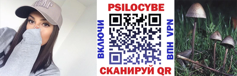 наркошоп  Чишмы  Псилоцибиновые грибы мицелий 